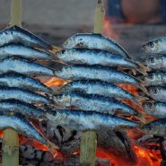 Malaga sardines on the beach