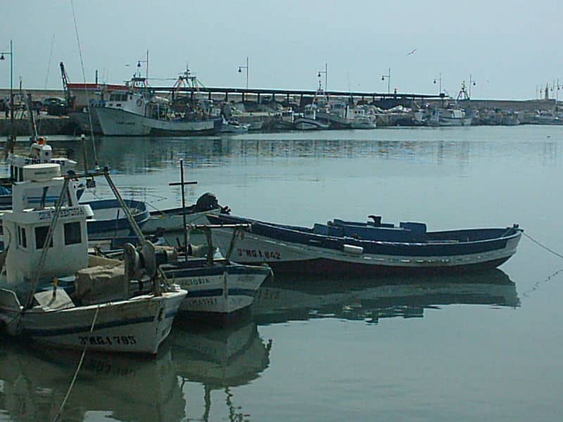 Estepona port