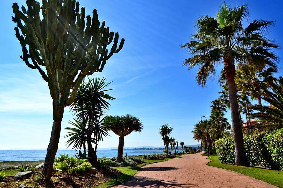A fantastic one bedroom apartment with private plunge pool in front line beach development Bahia de la Plata Estepona.