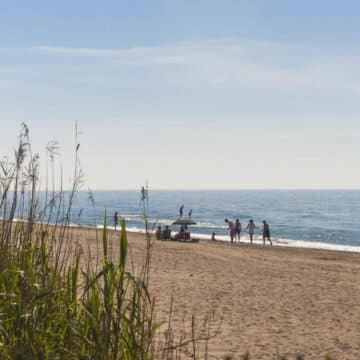 3 bedroom duplex apartment front line to the beach in Los Monteros Marbella Picture 0