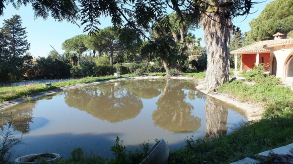 Building plot Nagueles Marbella Golden Mile For Sale V_Realista Quality Properties Marbella