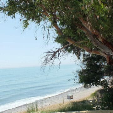 City centre Estepona penthouse for sale new construction Picture 17