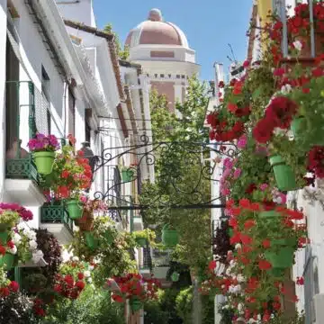 LIF3 Estepona city apartment 3 bedrooms and a great terrace with open views at walking distance to the old town Picture 17