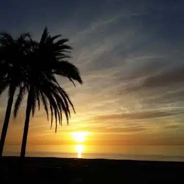 SUNSET BAY Estepona, Apartments & Penthouses in a Privileged Location, with Large Terraces and Stunning Sea Views Picture 32