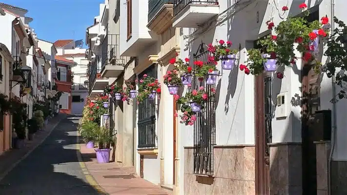 Estepona Area Guide