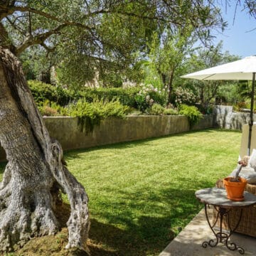 Luxury Villa in Ronda Andalucia, surrounded by its two hectares (4 acres) grove of private olive trees, this is a truly Oasis just 2km from the old town Picture 7