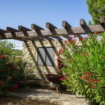 Luxury Villa in Ronda Andalucia, surrounded by its two hectares (4 acres) grove of private olive trees, this is a truly Oasis just 2km from the old town Picture 15