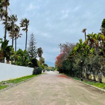 Spacious Plot Located on the third beach line in Casasola, Estepona Picture 12