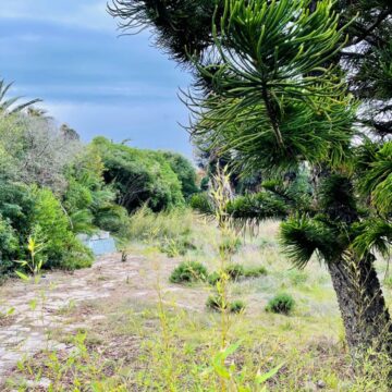 Spacious Plot Located on the third beach line in Casasola, Estepona Picture 3