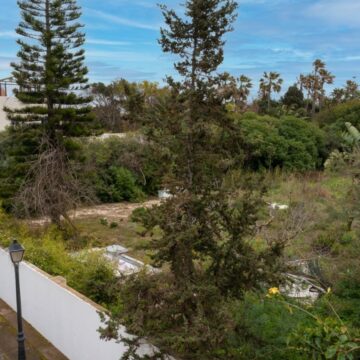 Spacious Plot Located on the third beach line in Casasola, Estepona Picture 5