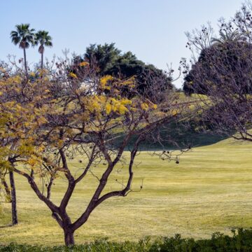 Recently Renovated and Restyled Apartment with Amazing Views in La Quinta, Benahavis Picture 21