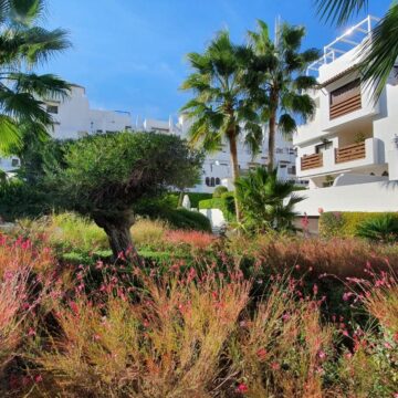 Two bedroom apartment with large terrace in Golf Hills, Selwo Estepona next to La Resina Golf Picture 20