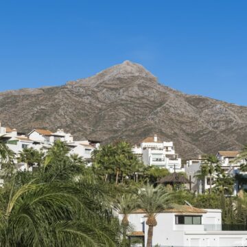 Modern Andalusian Villa in Private and Secured Urbanisation of Nueva Andalucia, Marbella Picture 39