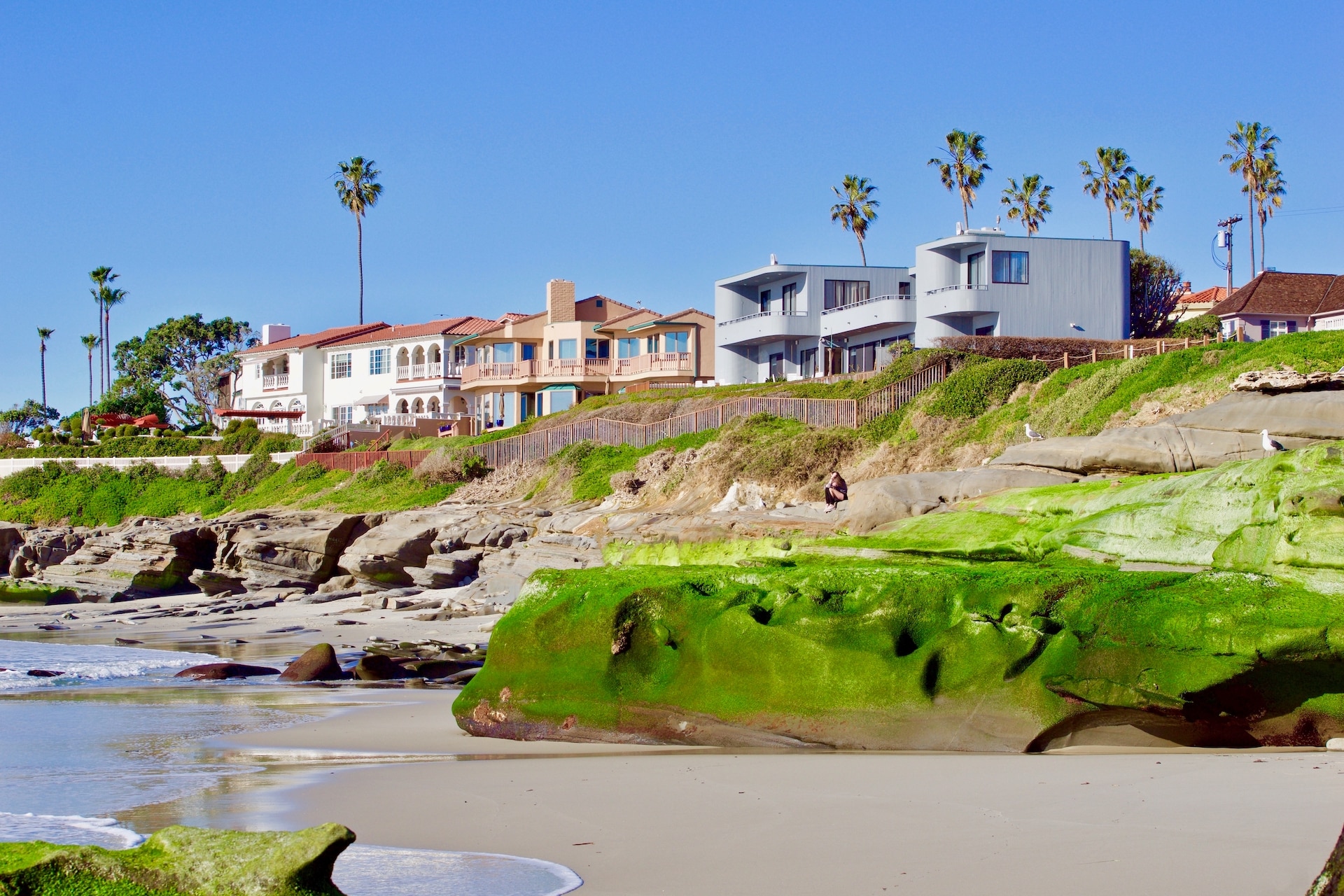 coastal houses on the beach with palm trees 2022 11 10 09 54 51 utc