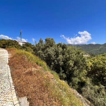 Wide and large building plot with panoramic views in Monte Mayor Resort, Benahavis Picture 5