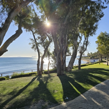Beachside townhouse for sale Garden Beach Estepona walking distance to Estepona old town Picture 35