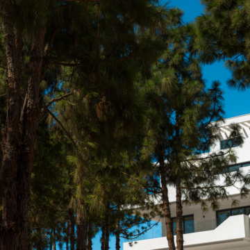 Rayos del Sol – Newly built modern apartments in the prestigious location of El Chaparral, Mijas Picture 22