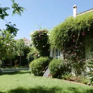 Newly built majestic villa project in Los Naranjos Hill Club, Marbella Picture 11