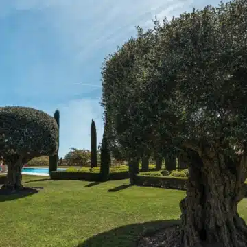 Luxury architectural masterpiece offering panoramic sea views in Sierra Blanca, Marbella Golden Mile Picture 22