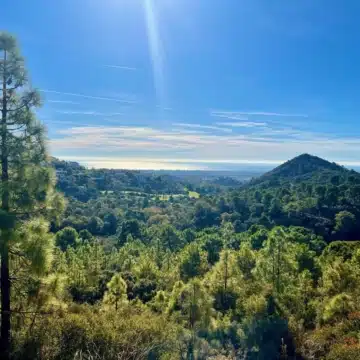 Large residential plot with beautiful sea views in Benahavis Picture 1