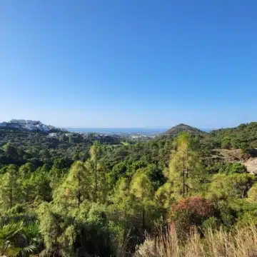 Large residential plot with beautiful sea views in Benahavis Picture 3