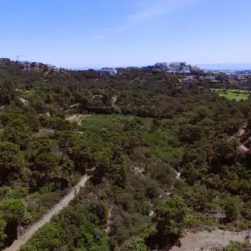 Large residential plot with beautiful sea views in Benahavis Picture 4