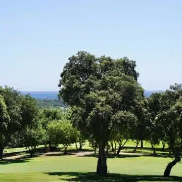 Frontline golf villa within an exclusive gated enclave of the prestigious La Reserva Club, Sotogrande Picture 1