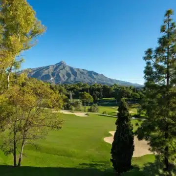 Modern frontline golf villa with uninterrupted golf course and mountain views in Aloha, Nueva Andalucia Picture 1