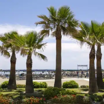 Valley Views – 2 and 3 bedroom contemporary apartments with beautiful sea views in Mijas Picture 35