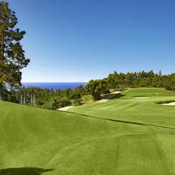 Valley Views – 2 and 3 bedroom contemporary apartments with beautiful sea views in Mijas Picture 51