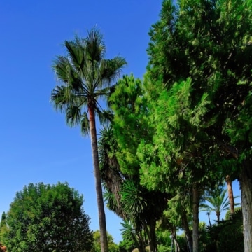 Impressive Estate enjoying panoramic sea views with a plot of almost 6000 m² in Rio Real, Marbella Picture 28
