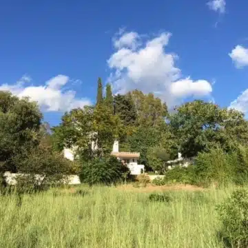 Andalusian-Style four bedroom villa in a peaceful area of El Padron, Estepona Picture 13