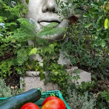 Andalusian-Style four bedroom villa in a peaceful area of El Padron, Estepona Picture 16