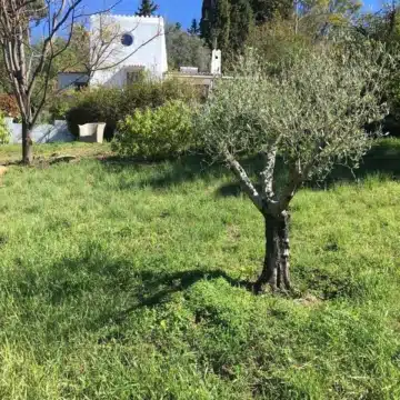 Andalusian-Style four bedroom villa in a peaceful area of El Padron, Estepona Picture 17