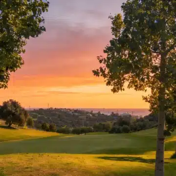 Amaris Villas – Modern villa with panoramic views of the nature in Estepona Picture 10