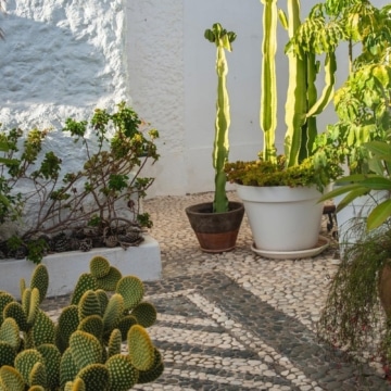 Ibiza Style apartment with Roof Terrace & Rental Licence, Walking Distance to the Beach in Marbella East Picture 19