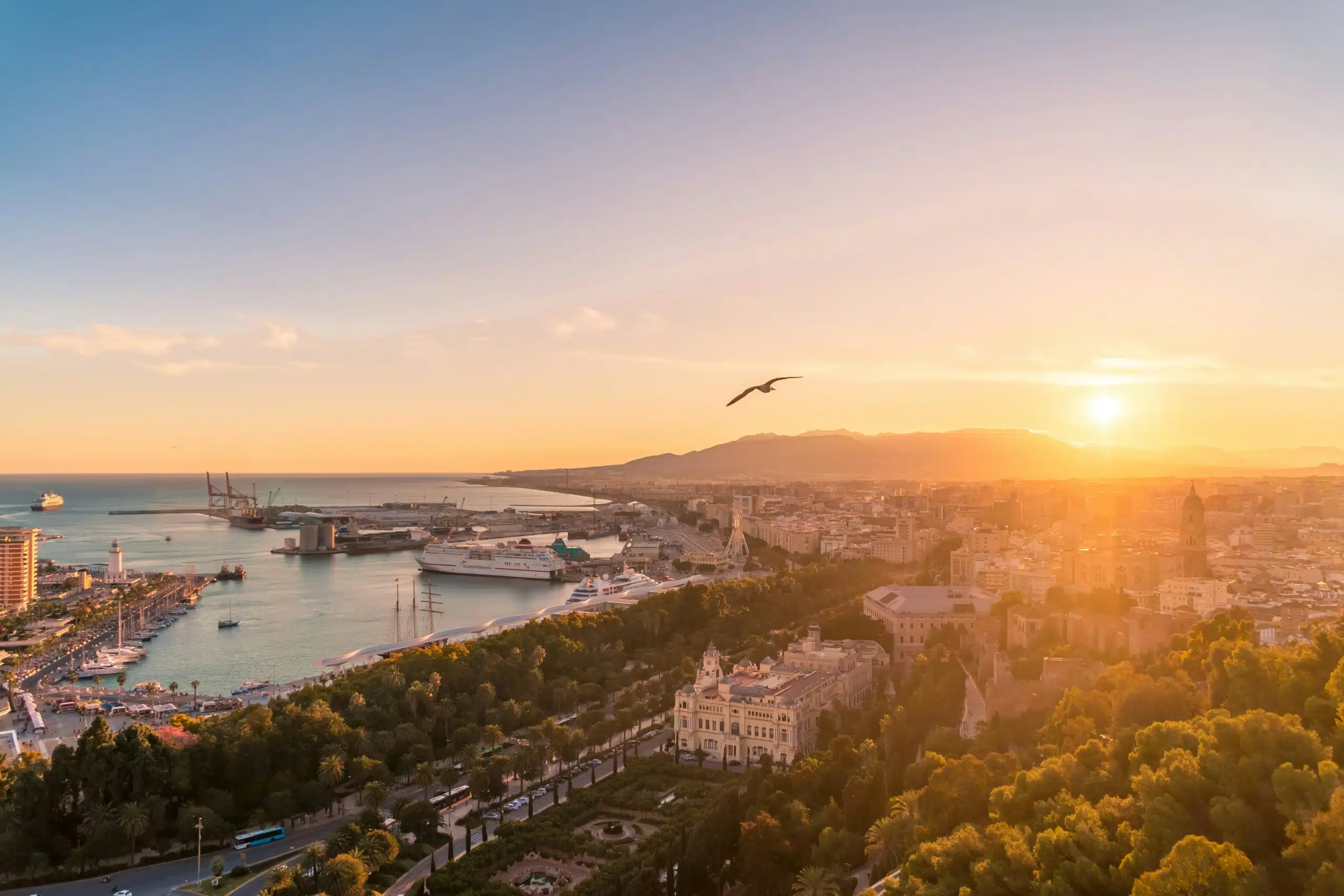 Malaga for Tech Professionals