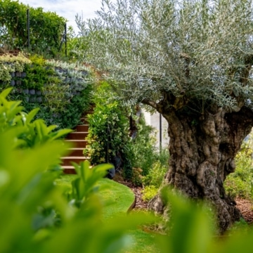 Extraordinary villa sits on a generous plot with panoramic views in the prestigious La Quinta, Benahavis Picture 29