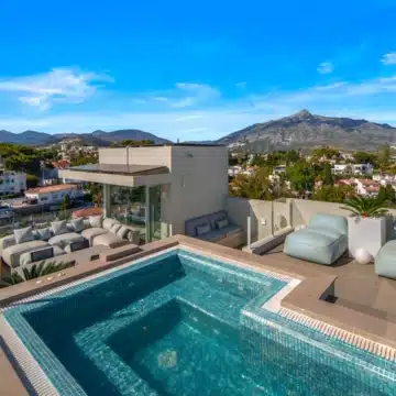 Contemporary villa with modern architecture and panoramic coastal views set in the elevated surroundings of Nueva Andalucía Picture 6