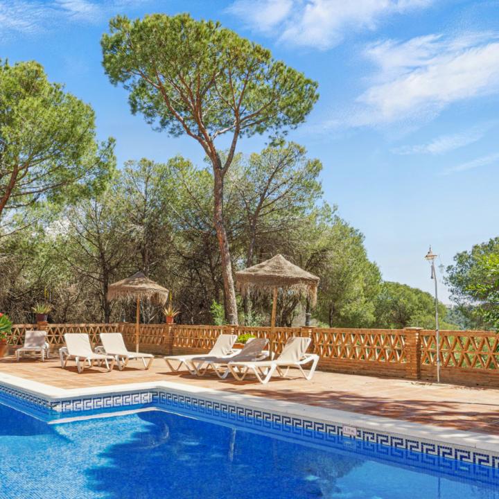 Spacious four-bedroom, duplex penthouse in the Los Pinos de Aloha complex, Nueva Andalucía, Marbella Picture 3