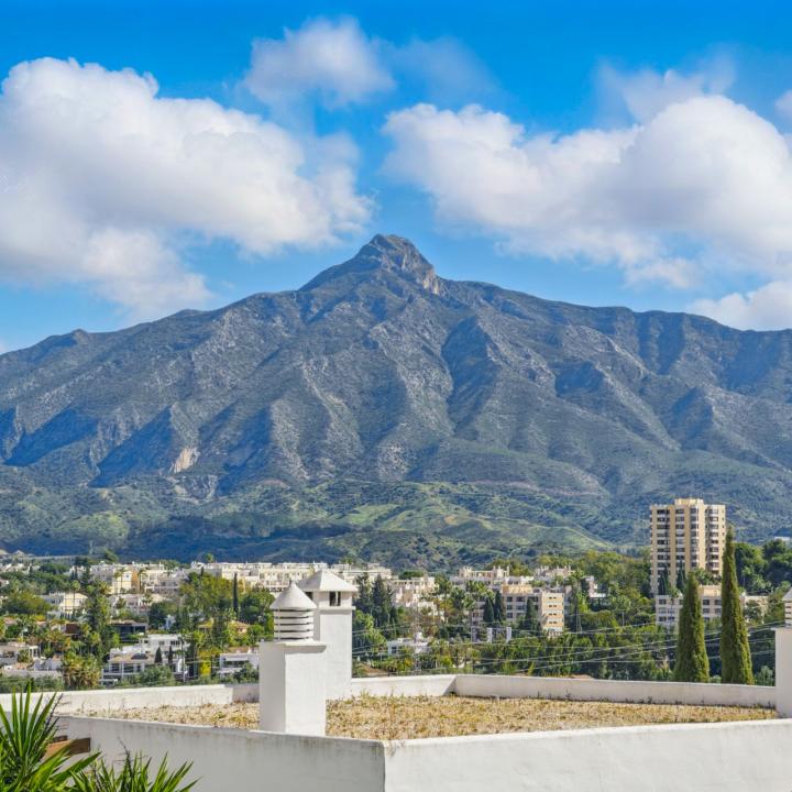 Beautifully reformed two bedroom apartment in the gated community of Jardines de Andalucía, Nueva Andalucia Picture 19